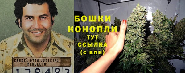 метадон Белокуриха
