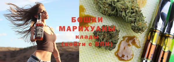 прущие крисы Бородино