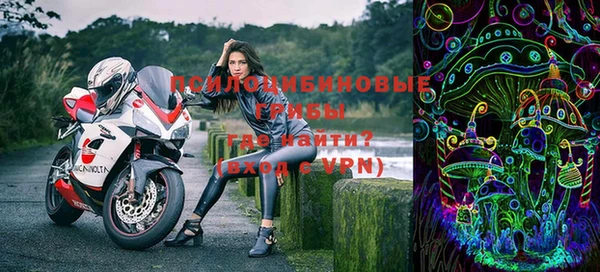 прущие крисы Бородино